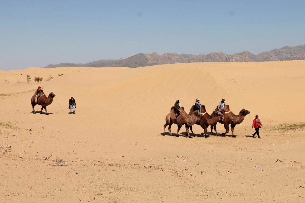 Go Mongolia Tours