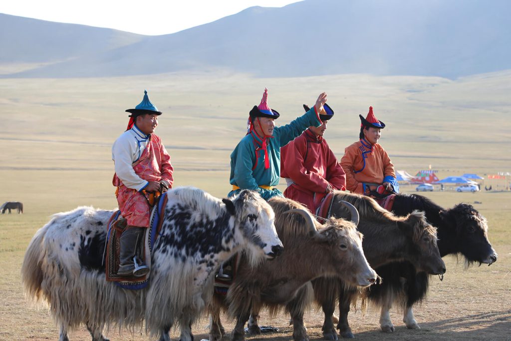 Go Mongolia Tours