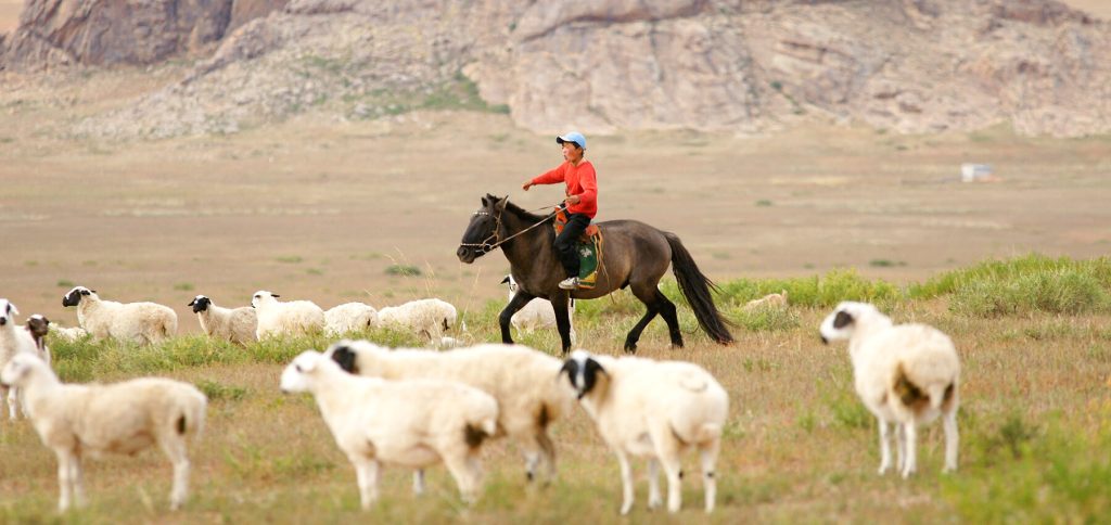 Go Mongolia Tours