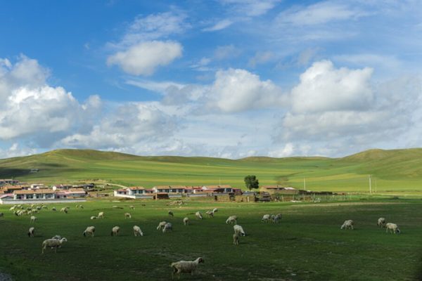 Mongolia package - 9 days